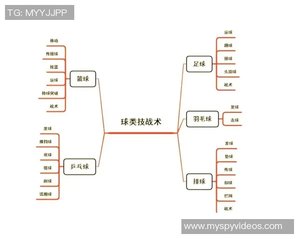 西安排球队进攻策略分析与战术解读探讨